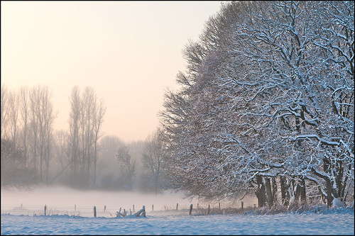 winter snow fog frost goch groundfog asperden winterfog