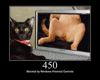 450 - Blocked by Windows Parental Controls