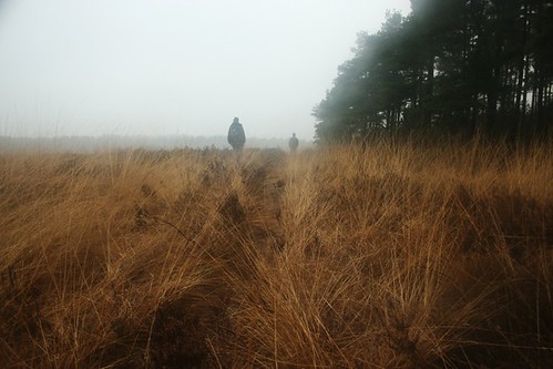 mist nature fog germany landscape deutschland december nebel natur swamp moor dezember landschaft gimped norddeutschland niedersachsen lowersaxony 2011