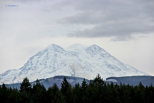 geotagged mountrainier geo:lon=122291007 geo:lat=46854248