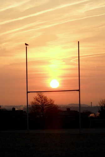 sun sunrise post rugby gull leeds posts 366 rugbyposts cadésin