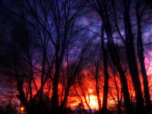 trees sunset silhouette hdr