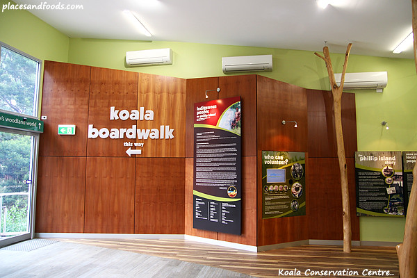 koala conservation centre4