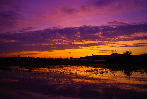 sunset red sky reflection water silhouette purple pentax km clout