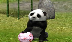 Panda 4