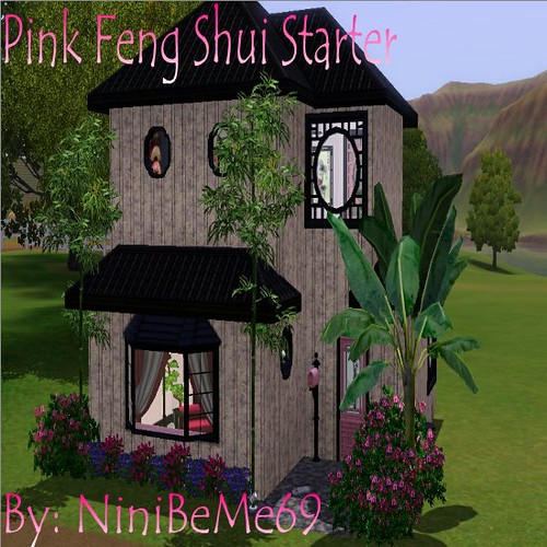 Pink Feng Shui Starter 