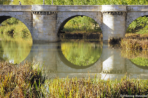 bridge water río river puente agua otoño carrión palencia