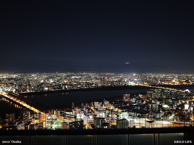 Osaka Night Scene