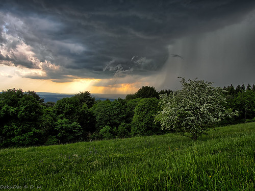 tree nature clouds germany landscape bayern deutschland bavaria natur meadow wiese wolken landschaft walimex baum oberpfalz rokinon upperpalatinate sengenthal samyang12mm120