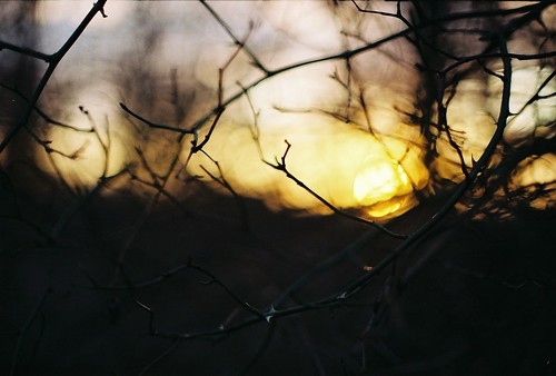 sunset sun film 35mm 50mm minolta bokeh minoltax700 14 x700 kodakgold200 rokkor mcrokkorpg50mf14 amandacarlsson amandacarlssonphotography