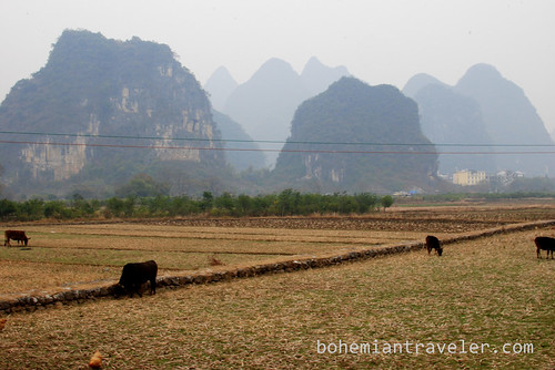 farms and mountains outside of Yangshuo