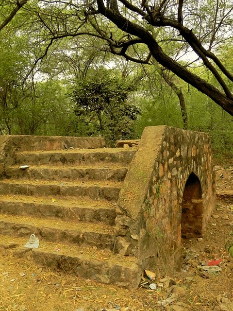Historical Buildings in Delhi - Mehrauli Archaeological Park