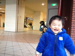 YGPとらちゃん(2012/1/15)