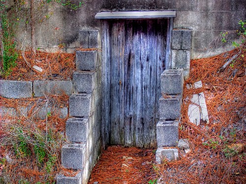 door old house storm tree abandoned rural weeds woods ruins scenery decay alabama hamilton creepy dirt marioncounty stormshelter