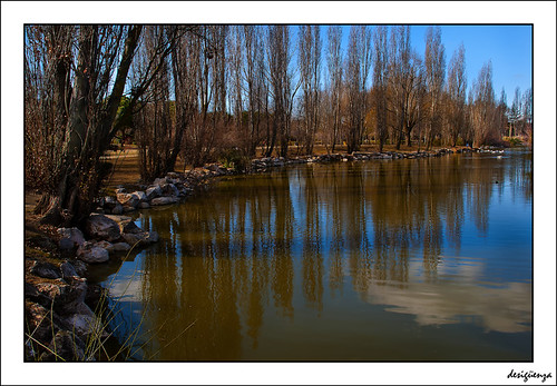 paisajes naturaleza color art water azul reflections lago landscapes agua árboles perspective estanque atardeceres interesante reflejos puntodefuga creativas nikond90 lifeincolors desigüenza
