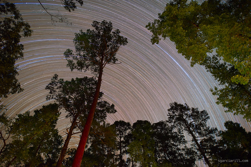 camping trees tree night star us texas nightscape unitedstates nationalforest astrophotography nightsky startrails davycrockett 2016 kennard pineywoods ratclifflake
