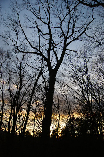 park blue sunset sky tree dummer vermont niceshot state fort brattleboro mygearandme
