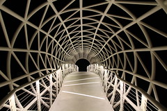 Bridge in the Dark
