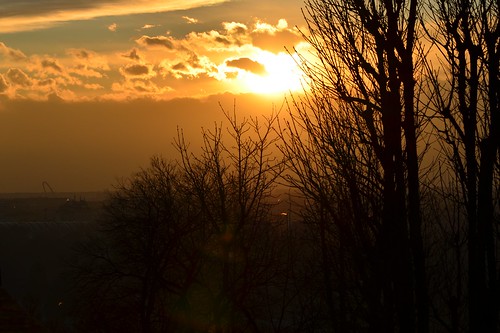 sunset sky alberi torino tramonto nuvole cielo abigfave flickraward concordians platinumheartaward explorewinnersoftheworld itswritteninthestars thebestofmimamorsgroups musictomyeyeslevel1