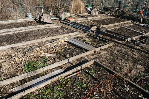 garden plot 095