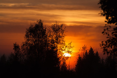 sunset nature norway forest