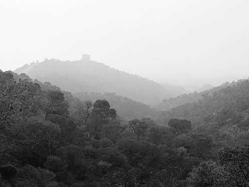 blackandwhite white mist black landscape paisaje fujifilm niebla monegros x10 fujix10