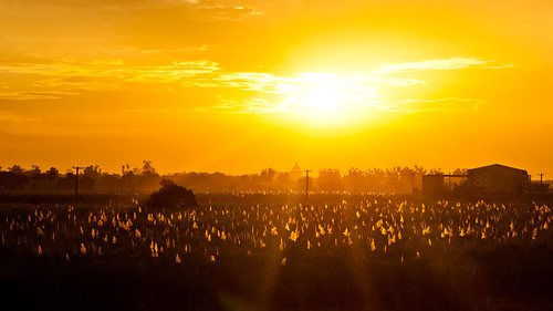 sunset pampanga featured