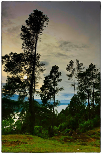 travel lake tree sunrise sumatra indonesia landscape volcano mount toba samosir sumaterautara sumatrautara simanindo