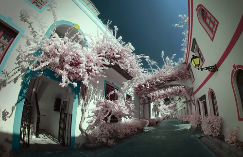 flowers buildings de ir puerto infrared gran canaria mogan viveza