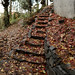 new stone path, with autumn leaves