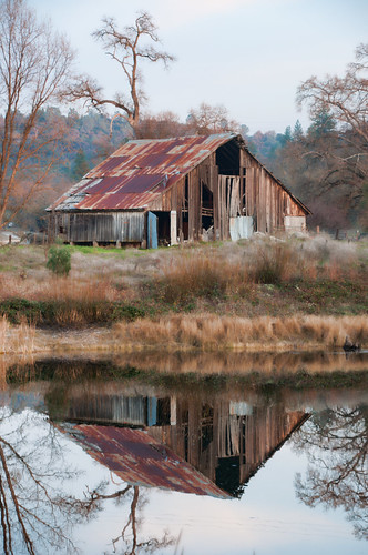 california old trees usa brown sun color reflection water grass barn rural landscape photography nikon rust december day dry scene late oaks fairplay d90 thechallengefactory pinnaclefeb22012