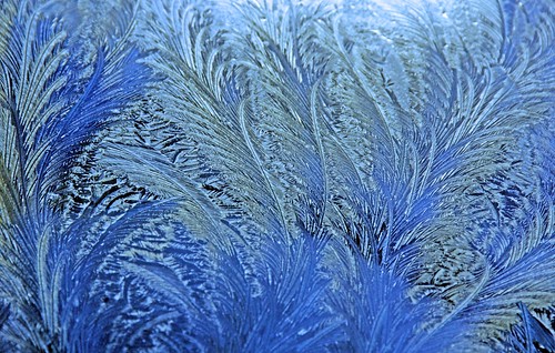 blue winter texture ice window car frost january structure ornament blau eis frosting januar 2012 eisblumen frostpattern iceflower autofenster bestcapturesaoi dorenawm