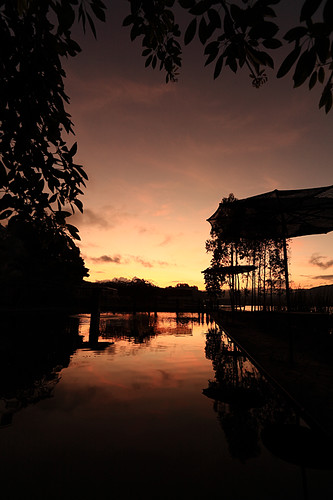 sunset sky bali lake reflection tree pool leaves clouds indonesia restaurant view scenic lakeside parasol batur canonef1635mmf28liiusm yalestudio wanagiri canoneos5dmkiicanon