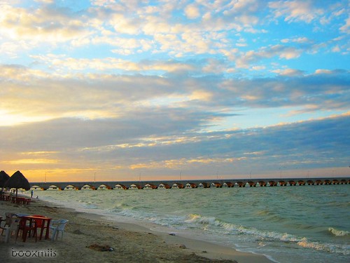 sunset beach mexico atardecer pier muelle mar seaside playa yucatán progreso
