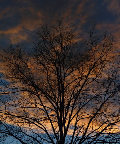 autumn sunset sky tree clouds newjersey oak nj fav20 highlandpark fav10 middlesexcounty donaldsonpark