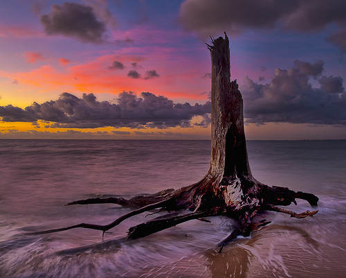 ocean cloud colour tree sunrise dead dawn reality bribie