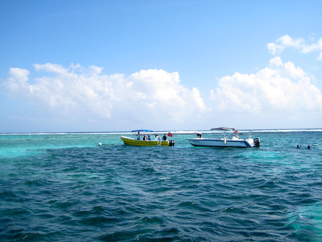 hol chan marine reserve in ambergris caye belize