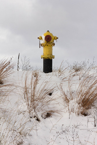 winter snow yellow michigan unitedstatesofamerica overcast firehydrant augusta kalamazoocounty project365 project36587 viveza eos60d fortcusterstatepark project365010212