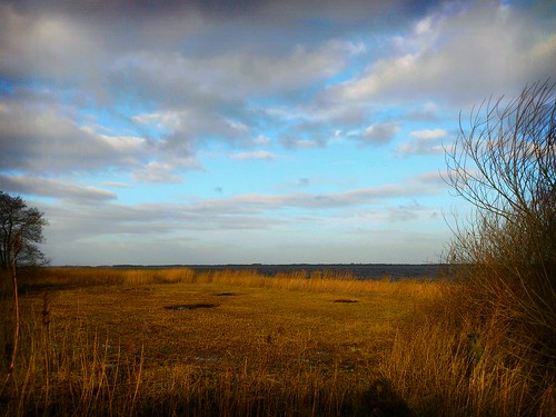 lake netherlands scenery meer day cloudy riet overijssel landschap beulaker blauwehand gerooid flickrandroidapp:filter=berlin
