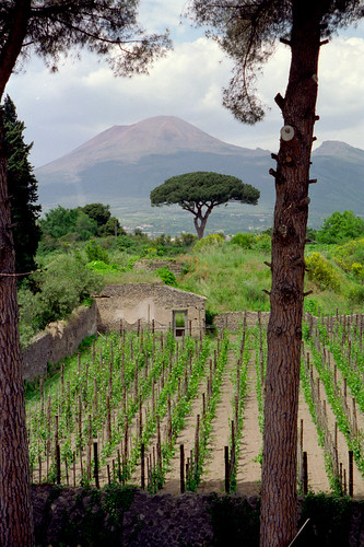 italy film volcano vineyard pompeii vesuvius pentax928