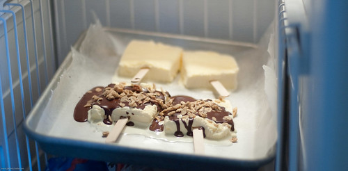 {how to} make nutty paddle pops!