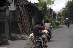 As incontáveis motos de Bali