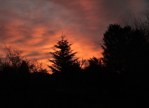 england silhouette sunrise dawn devon exeter swengland