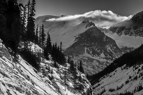 park trees light bw snow mountains nature monochrome clouds canon jasper shadows national alberta peaks valleys cans2s