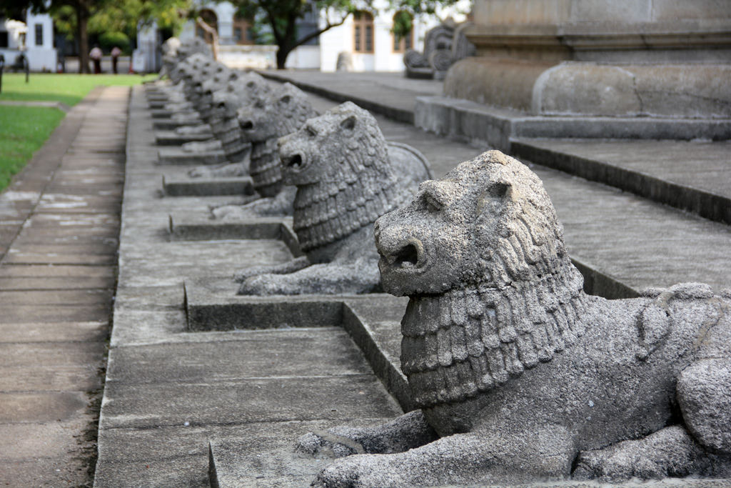 Sri Lankan Lions