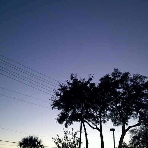 sunset project unitedstates florida dusk powerlines hudson oaktrees 366 flickrandroidapp:filter=none