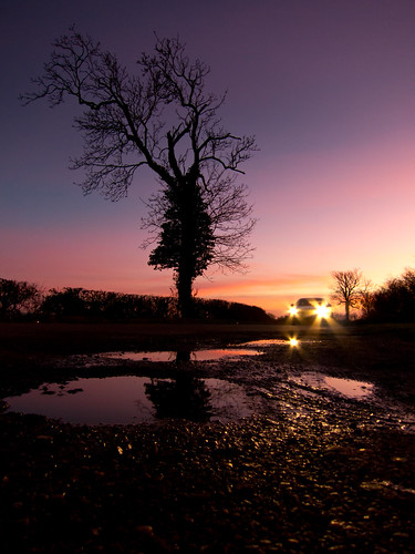 sunset tree silhouette s100 sileby canonpowershots100 thehumblessileby thehumbles