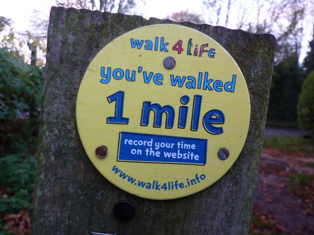 You've walked 1 mile!