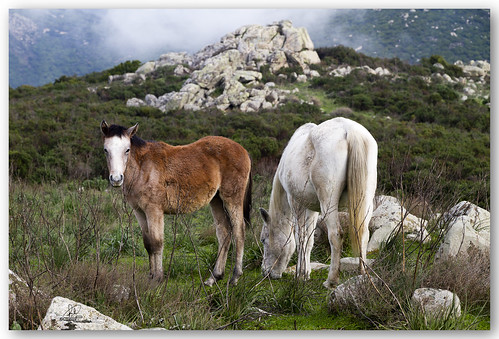 sardegna canon is nuvole 15 7d usm monte 85 cavalli paesaggio cresia “flickraward” mygearandme mygearandmepremium mygearandmebronze