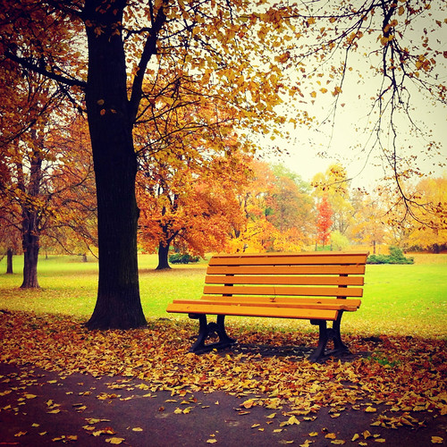 autumn bench ostrava instagram